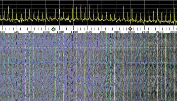 WMV FORMAT,  600Kb,  0:17