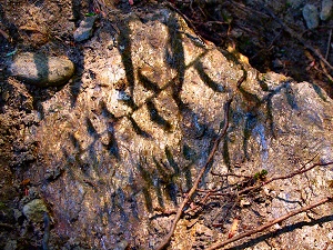 Shadows on Stone, Conway, MA - August 2008