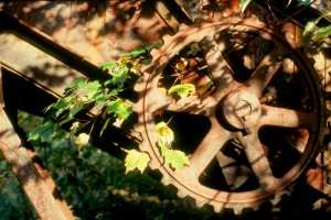 Abandoned machinery- Smith College, Northampton, MA - July, 1991