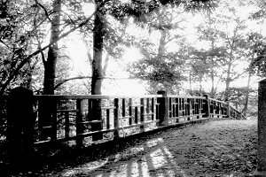 Paradise Pond bridge, Smith College, Northampton, MA - August, 1991