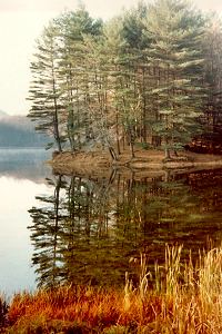 Morning Calm, Bray Lake, Mt. Tom State Reservation, Holyoke, MA - April, 1980